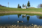 09 Al Laghetto del Pertus,  Nika parte con una bella nuotatina !